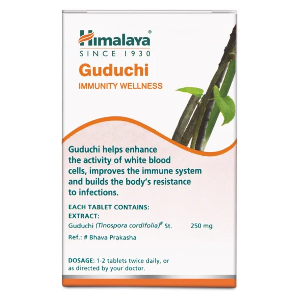 GUDICHI TABLET2 580x580