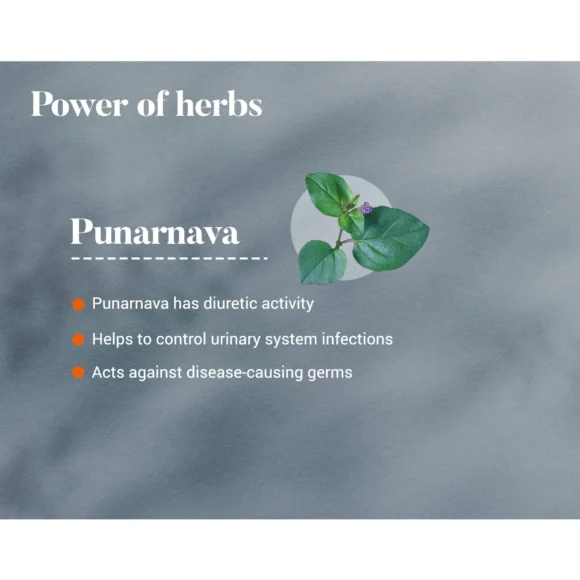 PUNARNAVA TAB 4 580x580